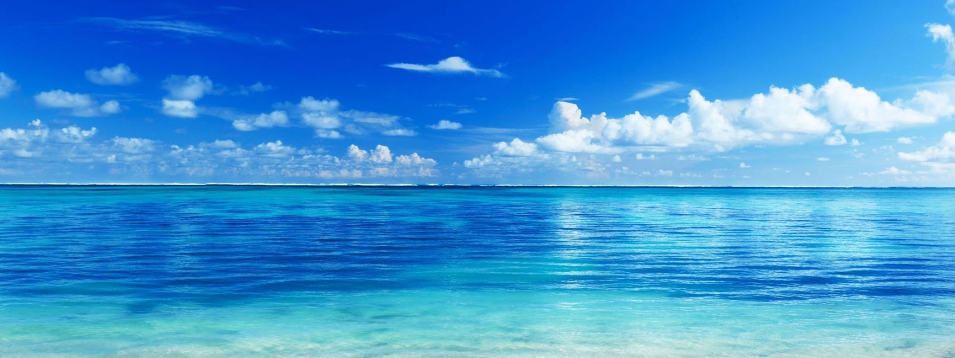 The GT Sea